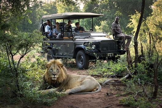 Morukuru Owner's House (private safari house)